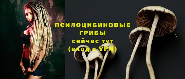а пвп мука Дмитровск