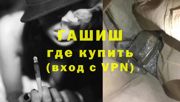 сатива Дмитриев