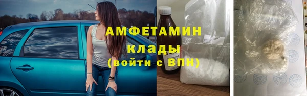 сатива Дмитриев