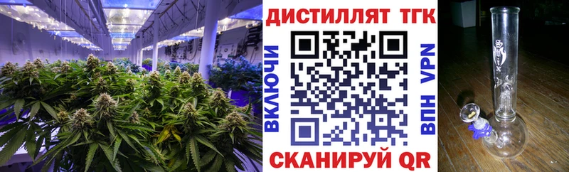 Купить  Очёр  Дистиллят ТГК THC oil 