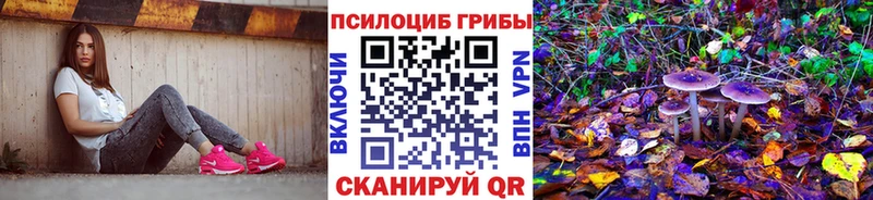 Галлюциногенные грибы Psilocybine cubensis  Купить где  Очёр 